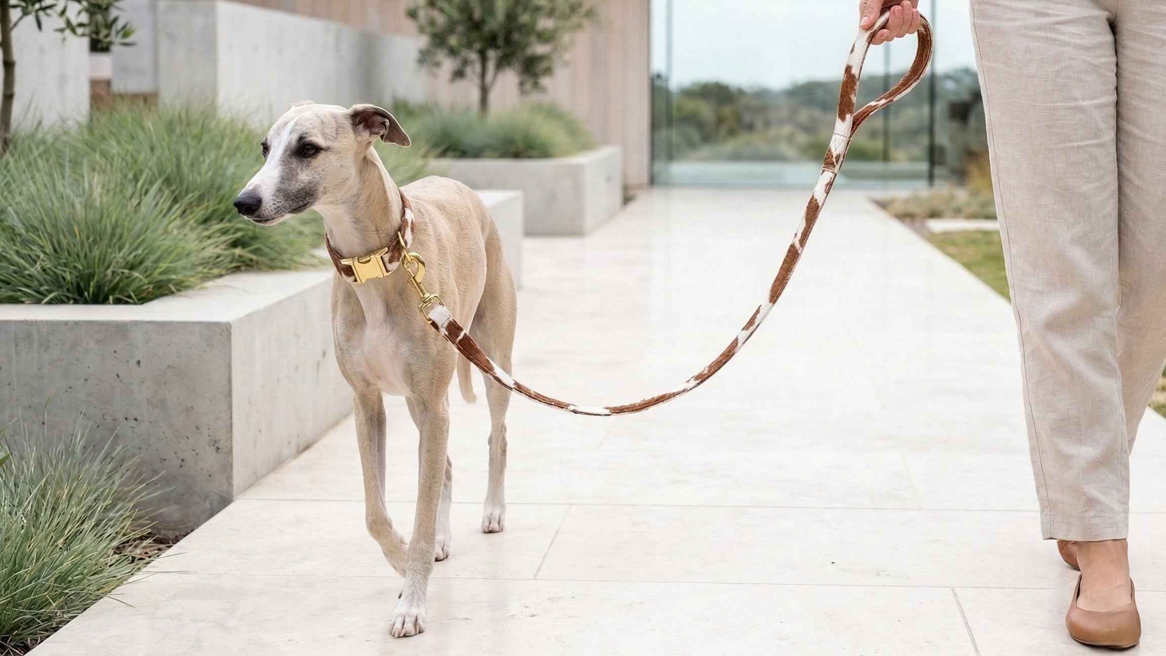 Bowsers Designer Dog Leash – Durable Style for Everyday Walks
