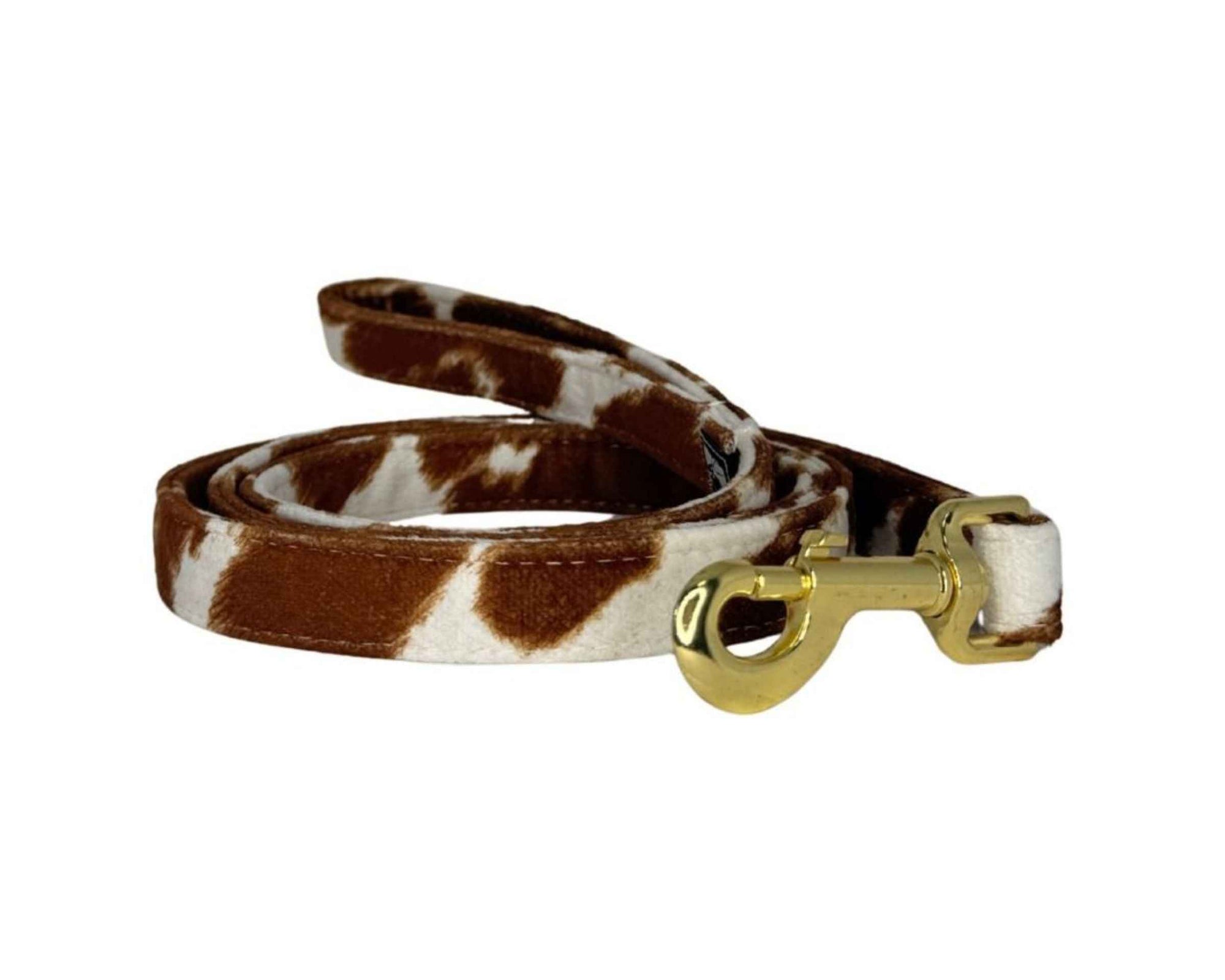 Bowsers Designer Dog Leash - Durable Style for Everyday Walks