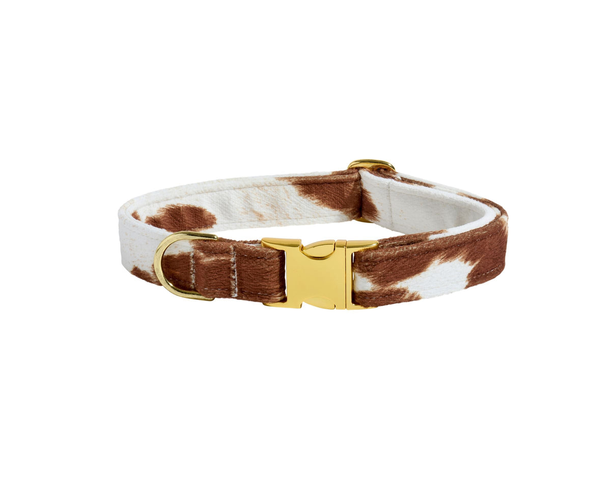 Bowsers Designer Buckle Dog Collar - Secure Everyday Fit and Designer Style