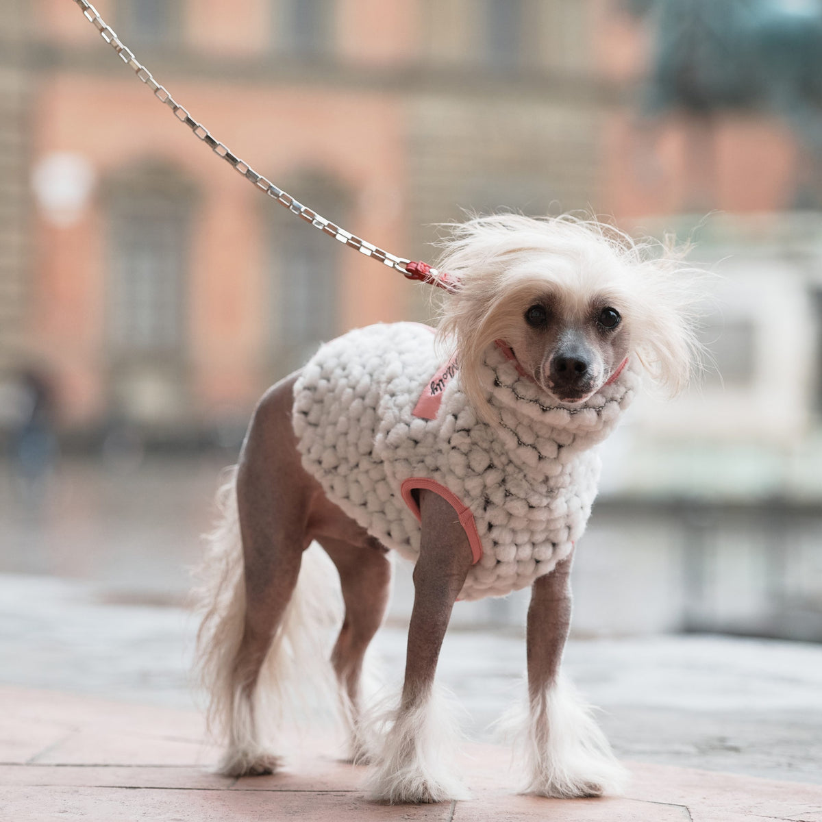 Pon-Pon Dog Sweater
