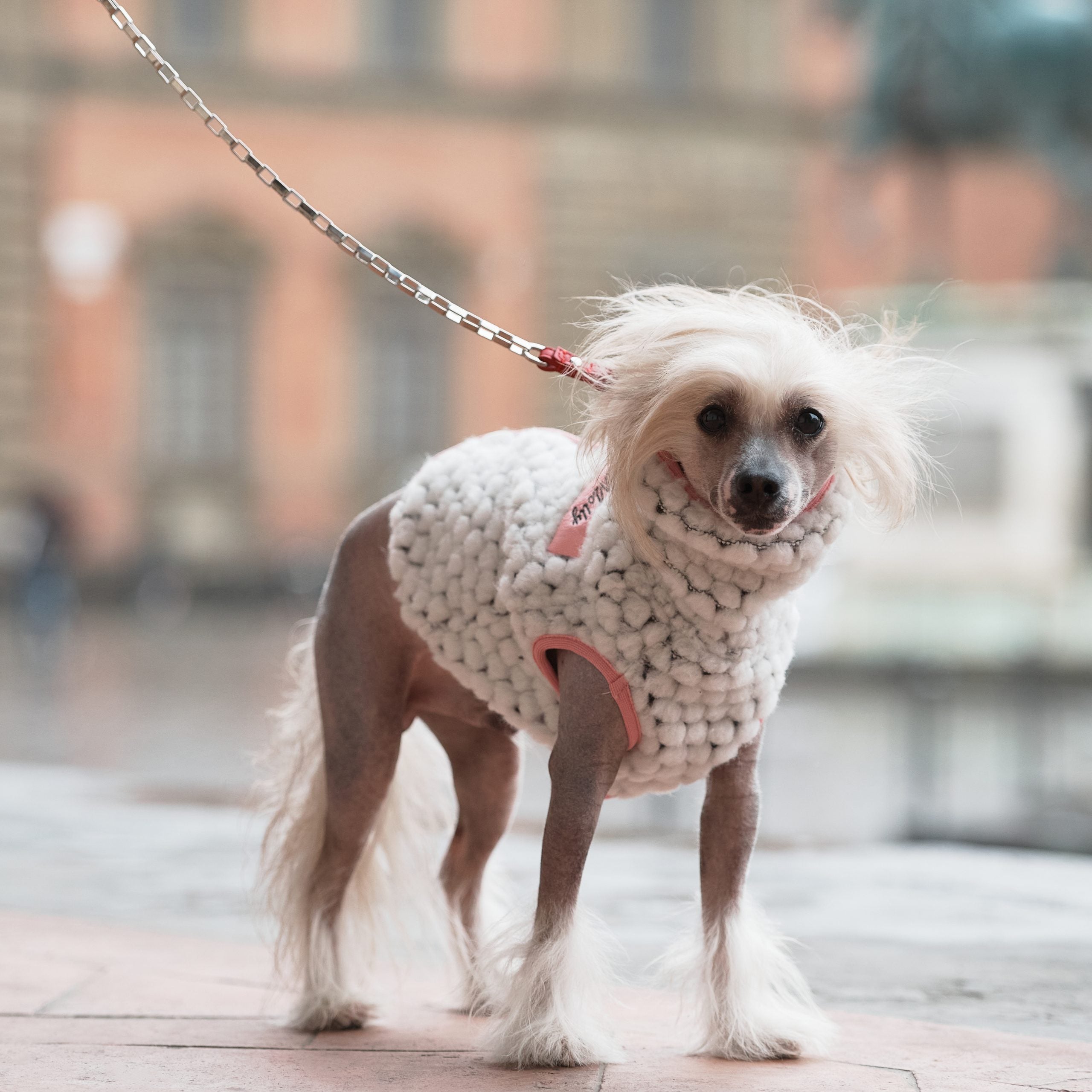 Pon-Pon Dog Sweater