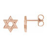 14K Yellow, White or Rose Gold Star of David Post Earrings, 9.5mm