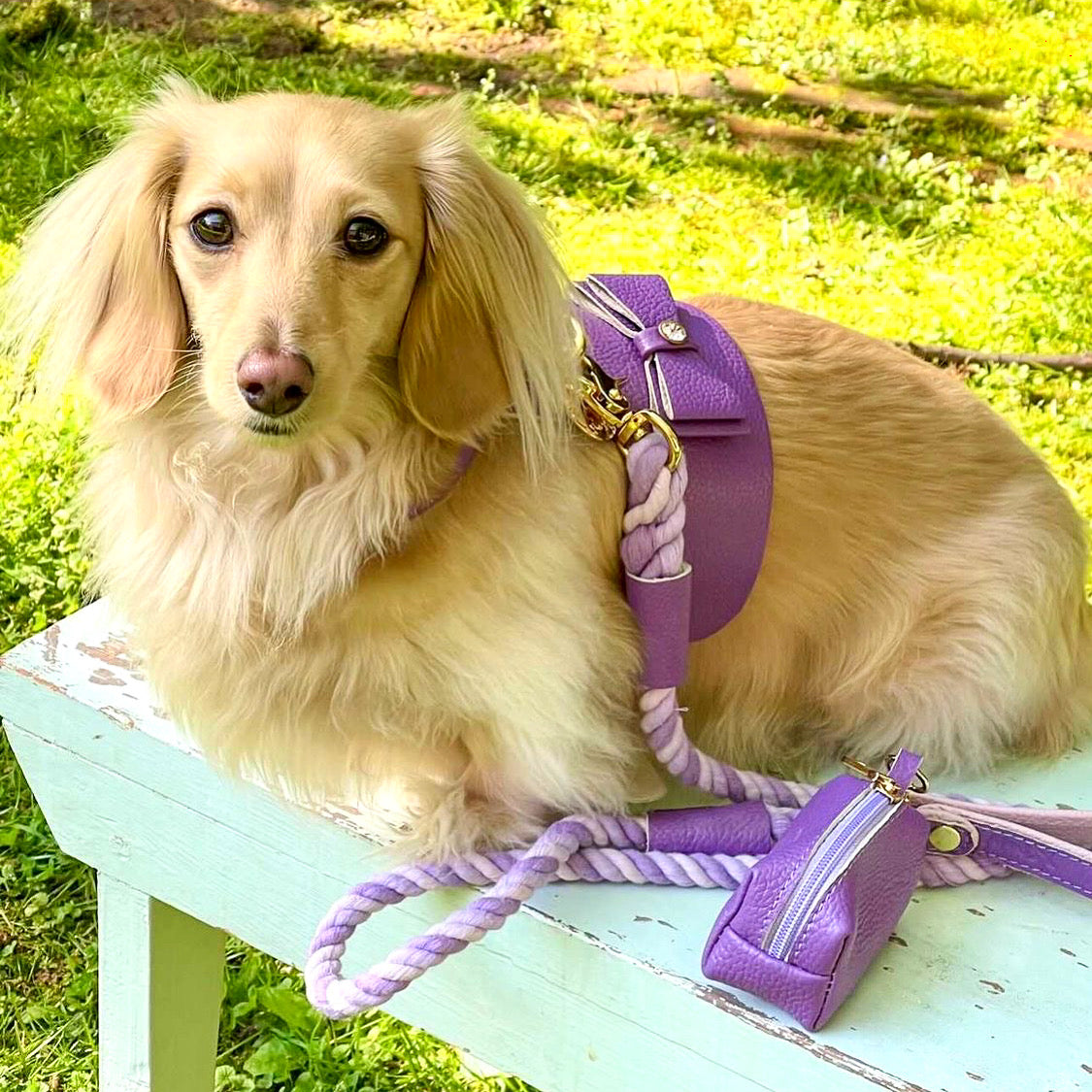 Harness - Lavish Lavender
