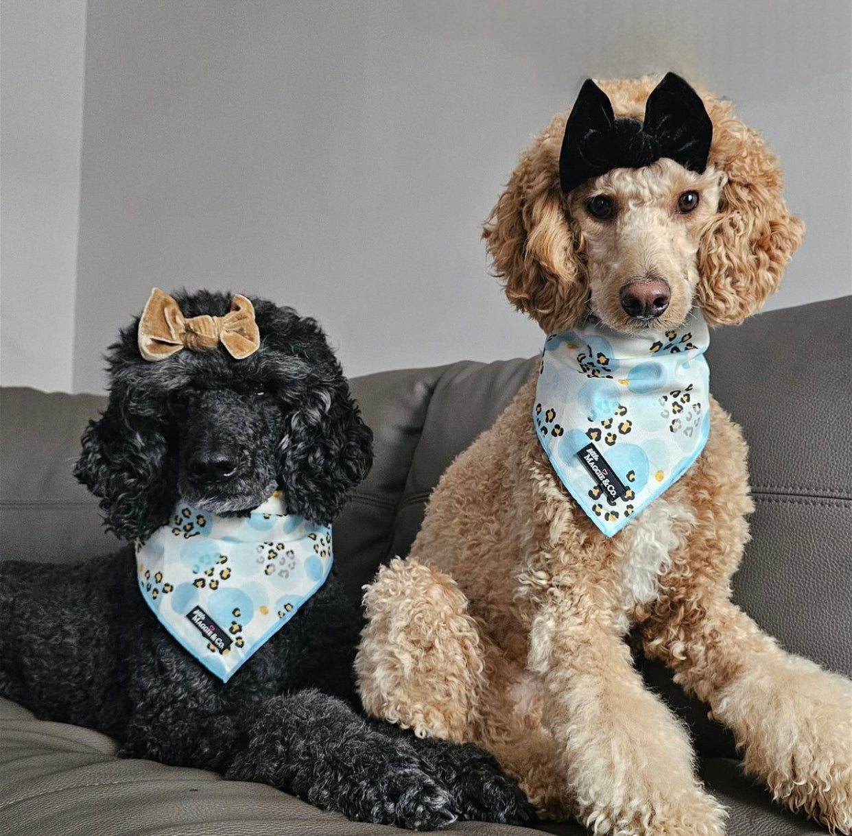 Bandana Set: Blue’s Gone Wild