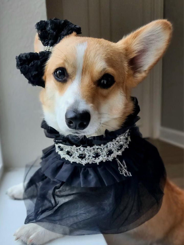 Whimsical Wedding: Imperial