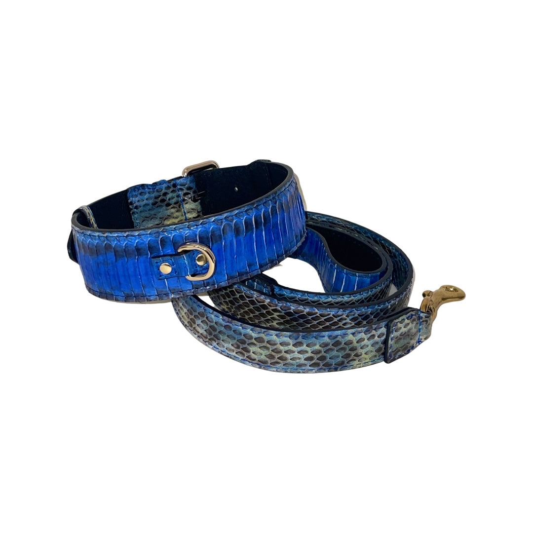 Allysa Payne Multi-Blue Tone Snake Classic Dog Collar & Leash Set