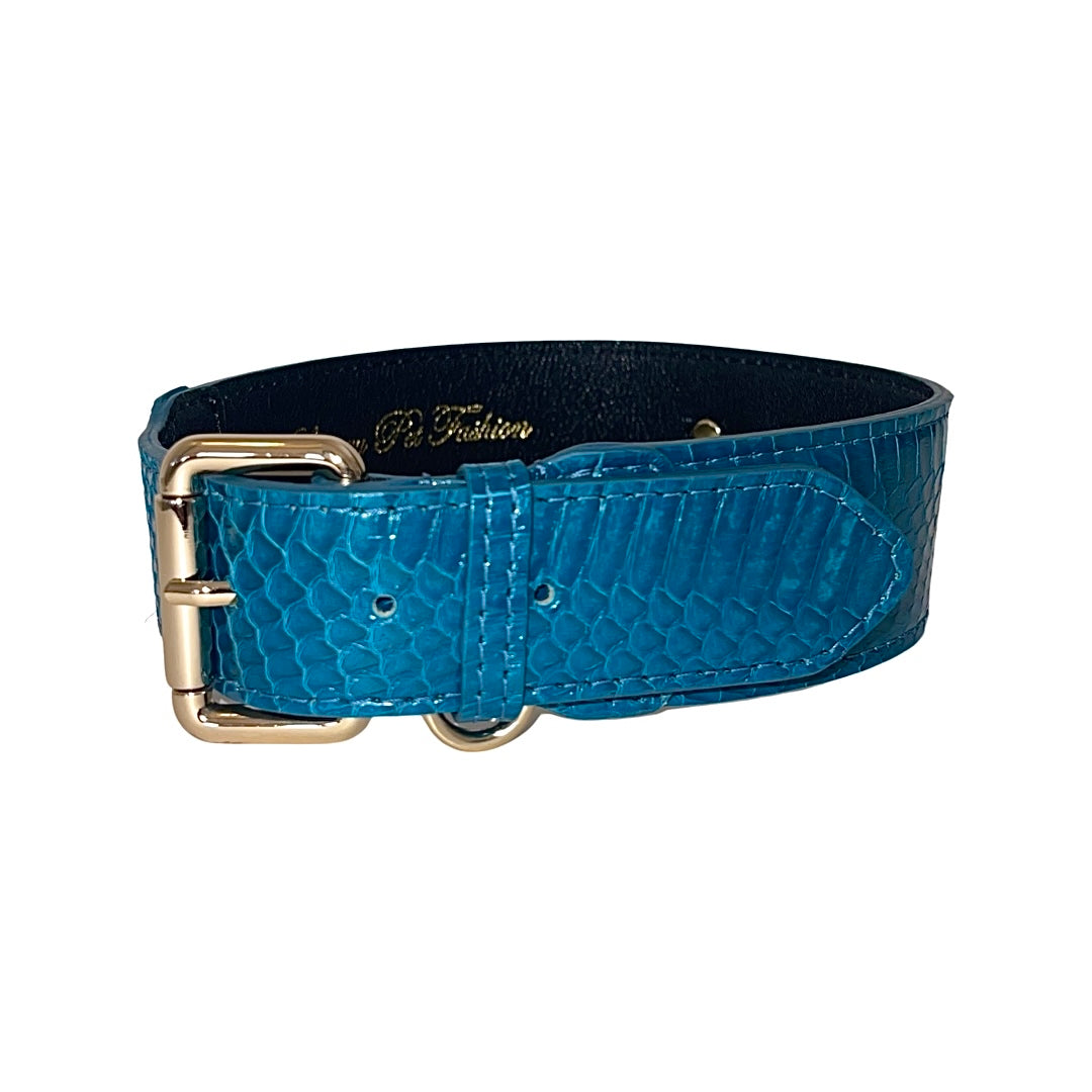 Allysa Payne Dark Turquoise Classic Style Snake Dog Collar With Classic Gold Hardware