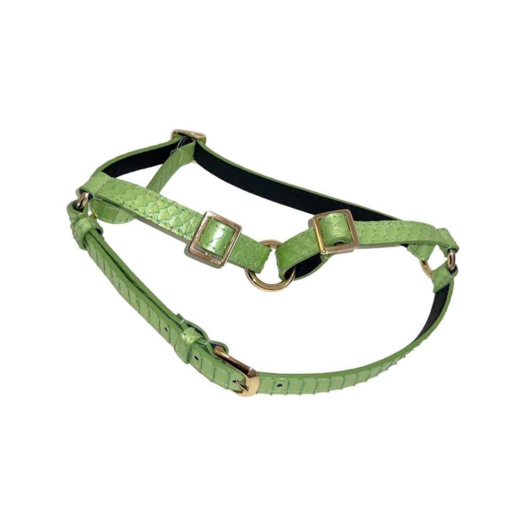 Allysa Payne Sea Anemone Pearl Green Snake Dog Harness