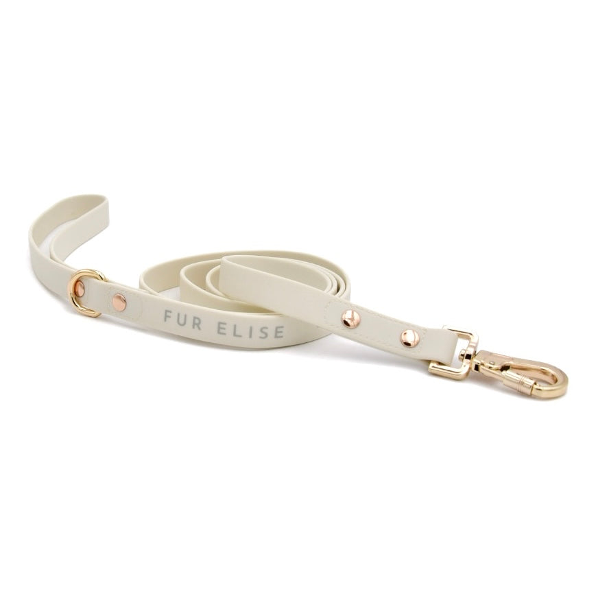 The Ultimate Walk Set - Bone