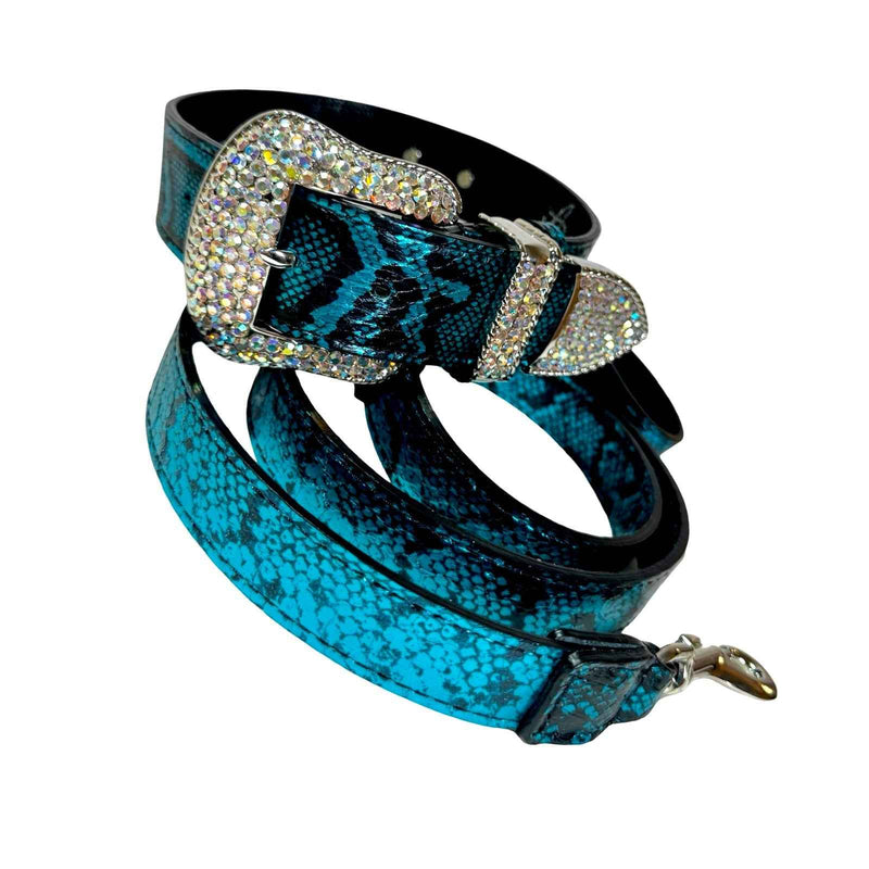 Allysa Payne Blue & Black Serpente Set Dog Collar