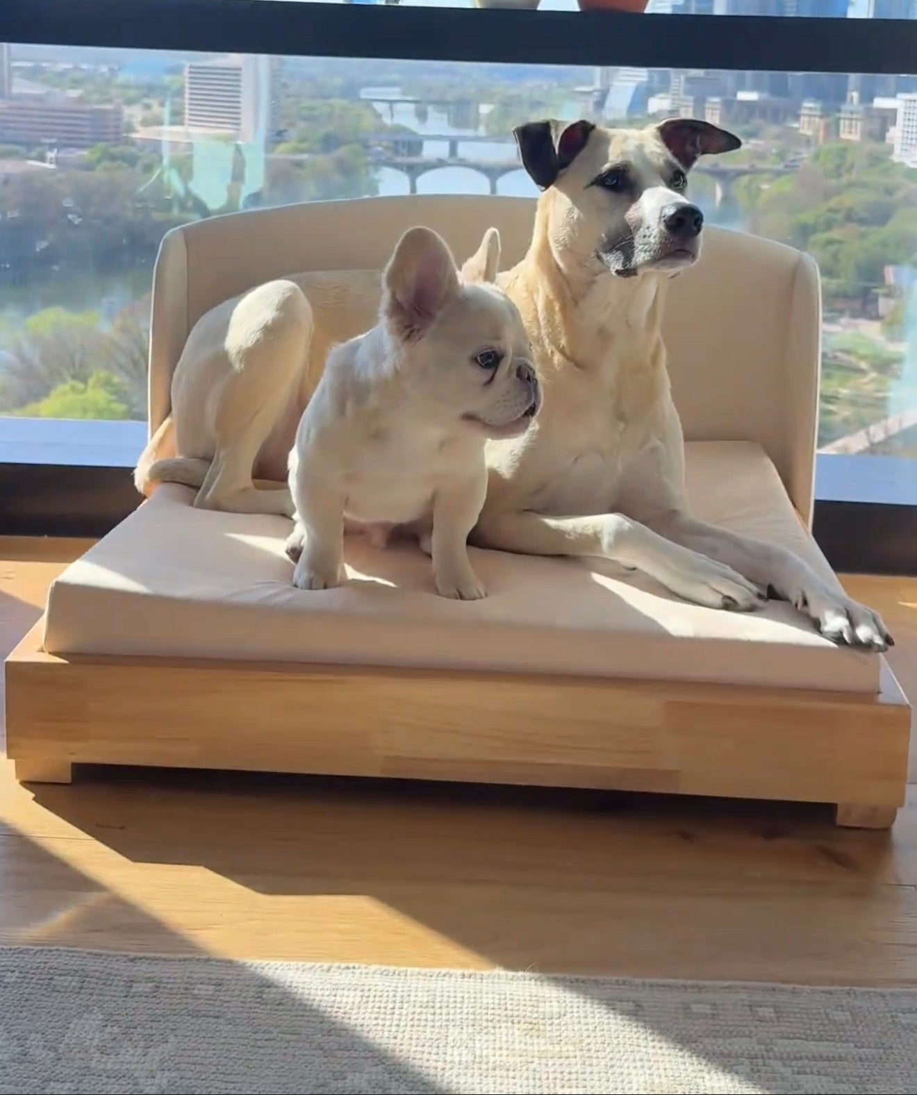 The Haven Luxury Handcrafted Solid Wood Orthopedic Dog Bed