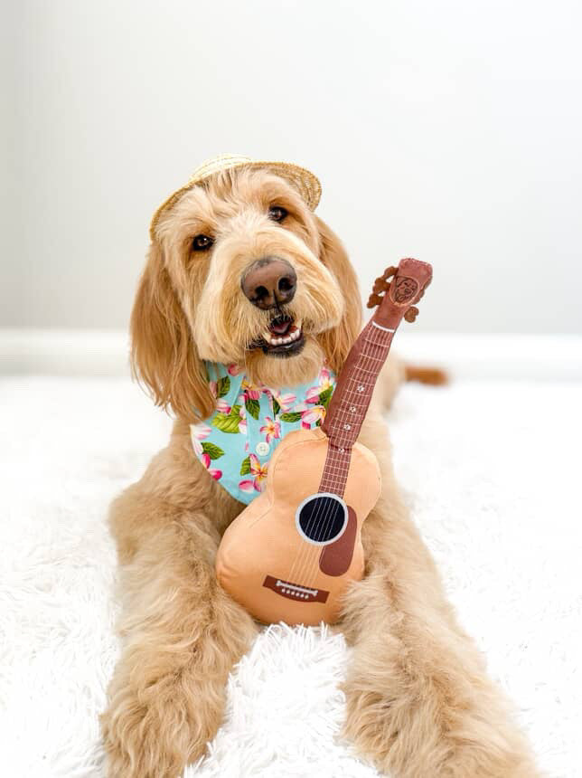 PUPROAR Guitar Dog Toy - Cute Squeaky Plush Dog Toy with Crinkle