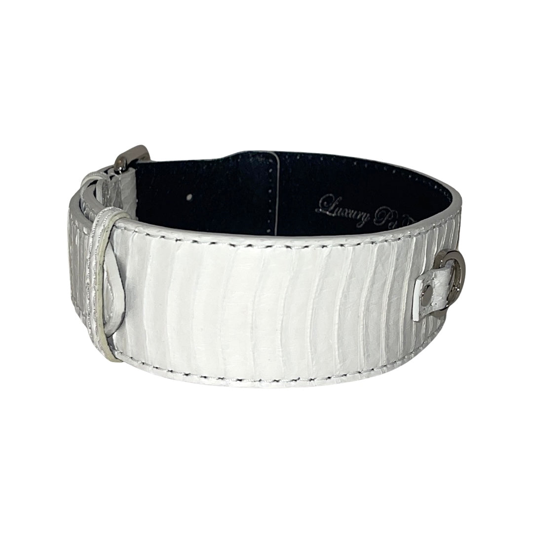 Allysa Payne Matte White Snake Classic Dog Collar With Silver Classic Hardware
