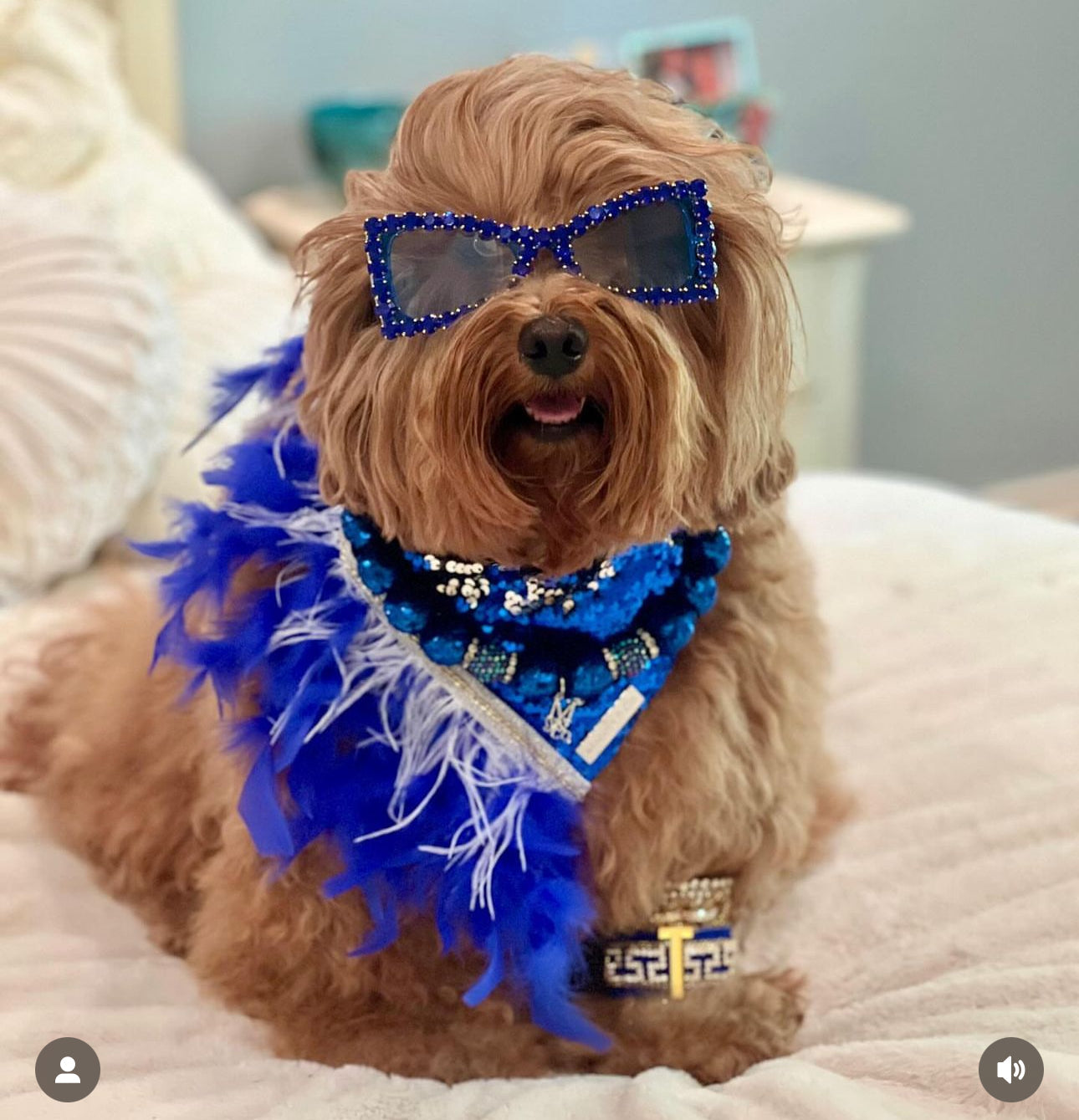 Holiday Collection: Frozen