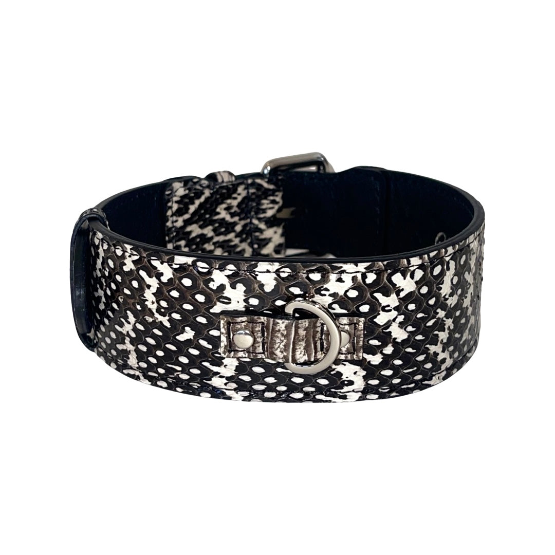 Allysa Payne Black & White Classic Snake Dog Collar