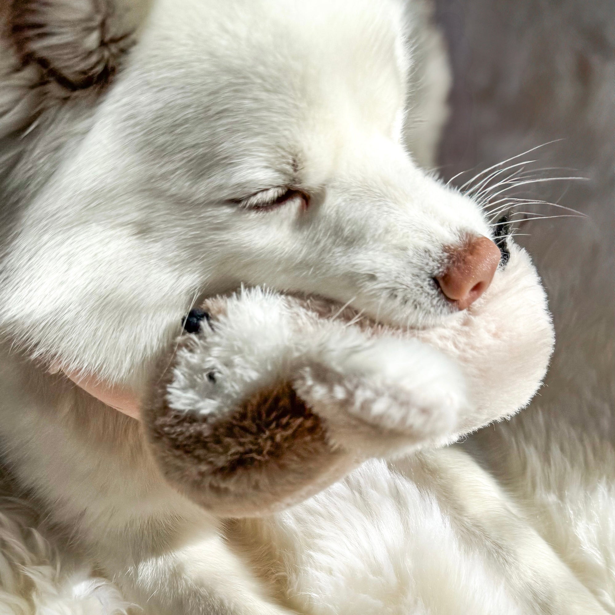 Pegy Mini Plushie