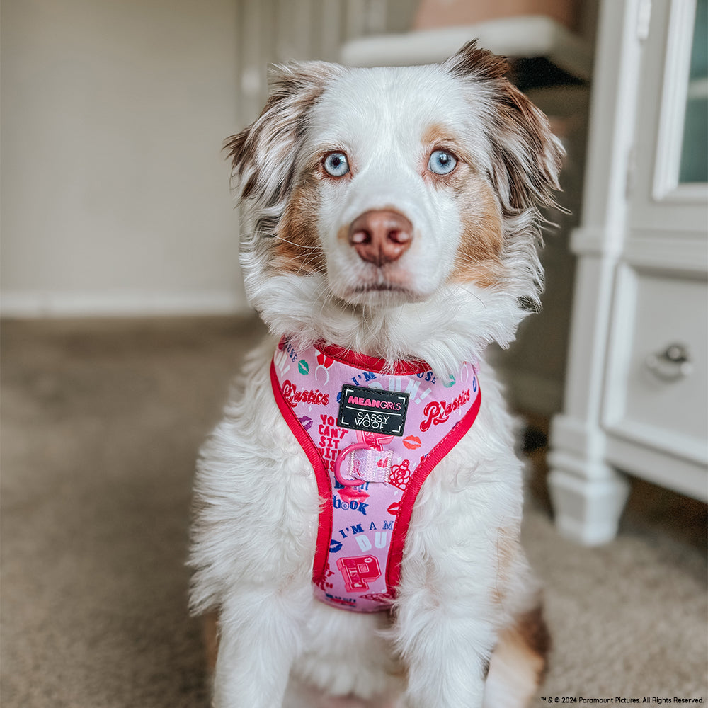 Dog Adjustable Harness - Mean Girls™