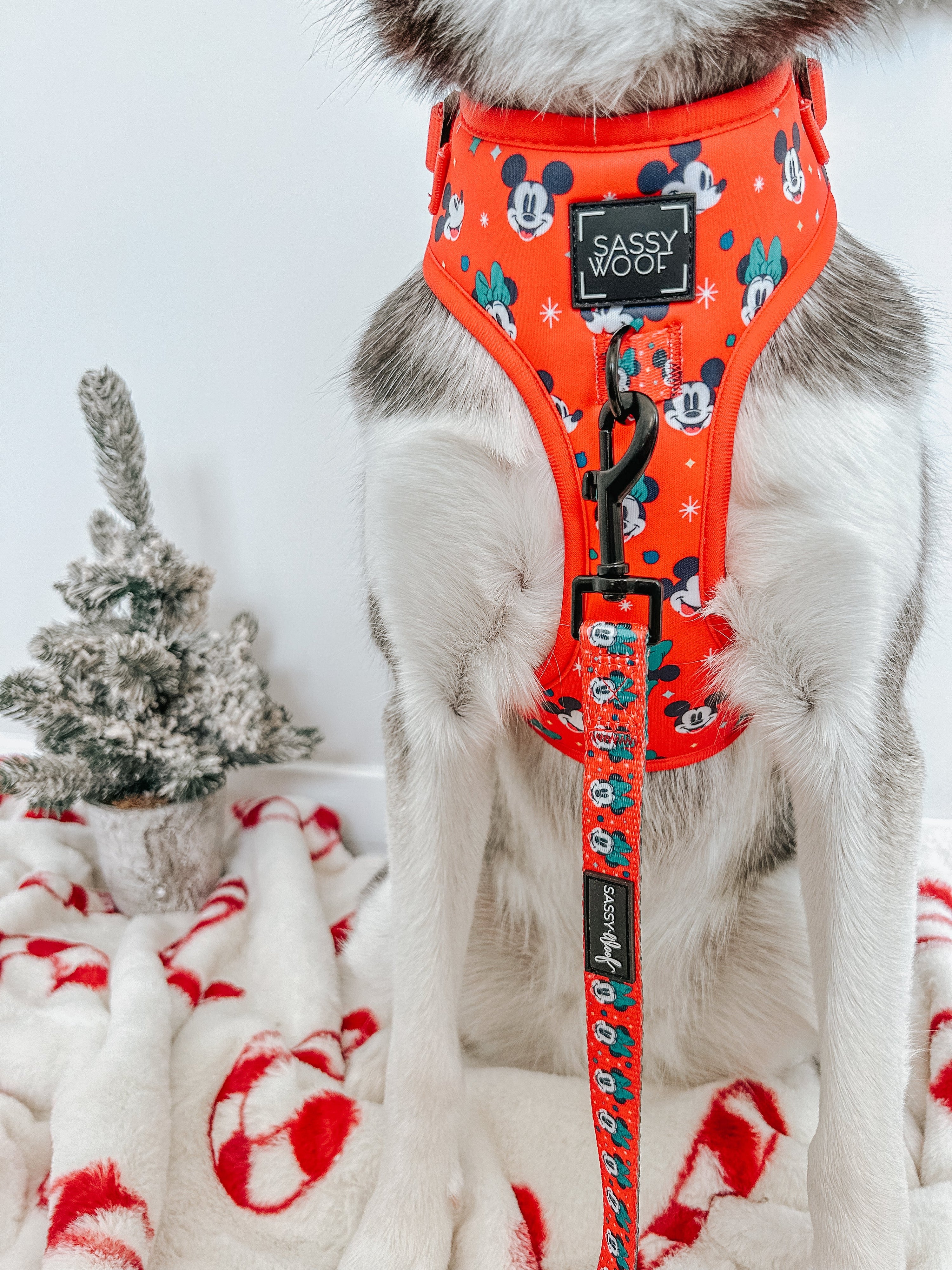 Dog Leash - Disney Holiday Collection