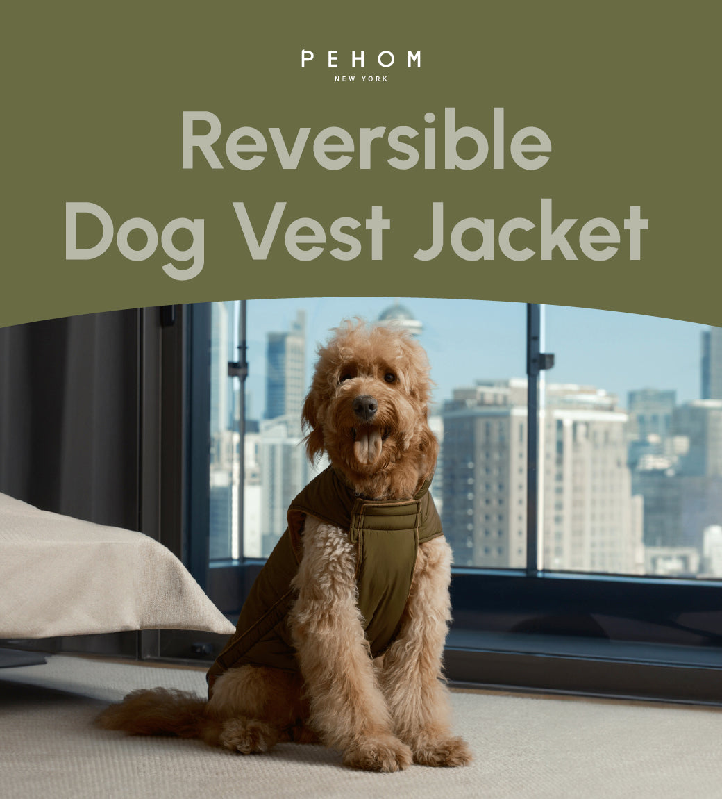 Reversible Dog Vest Jacket-Green Brown