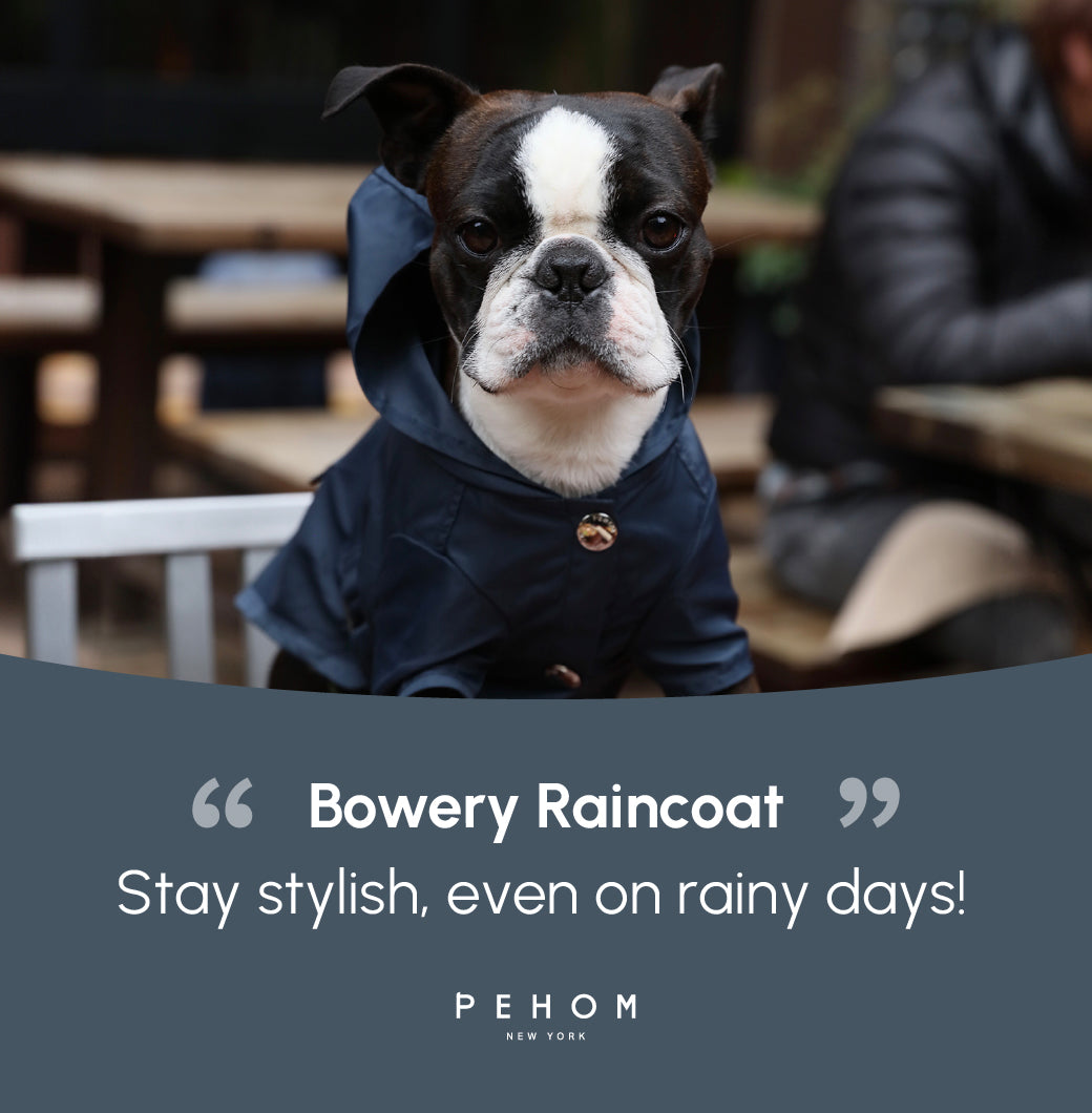Bowery Raincoat-Blue