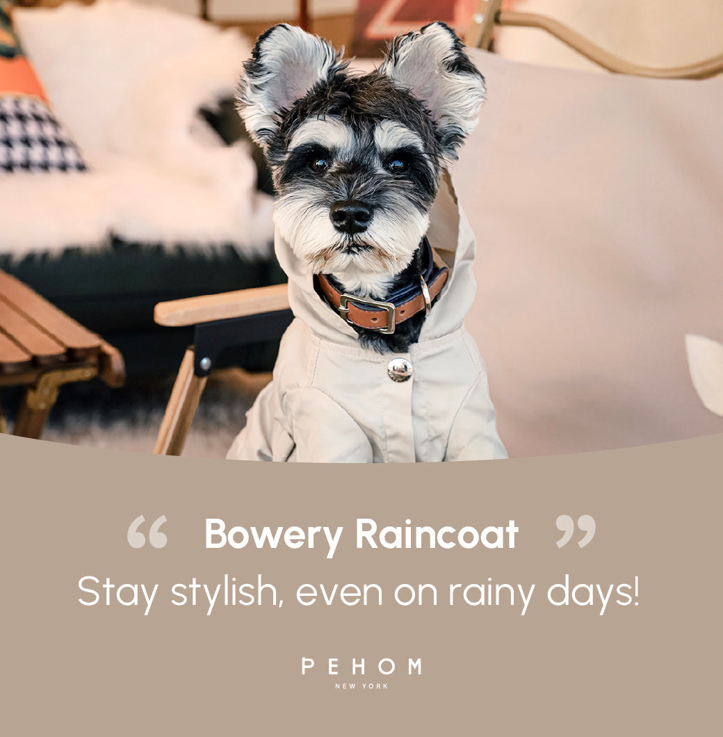 Bowery Raincoat-Beige