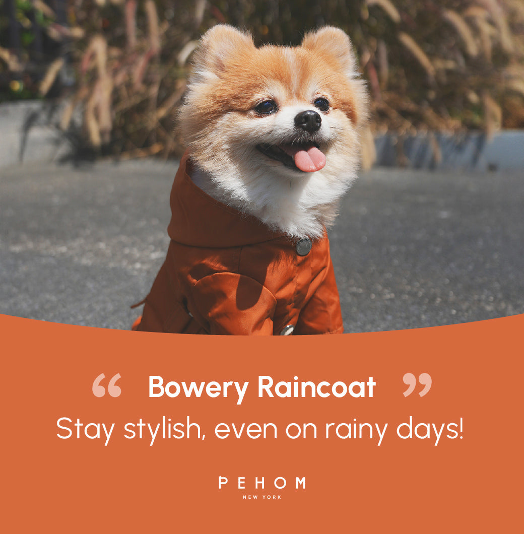 Bowery Raincoat-Orange