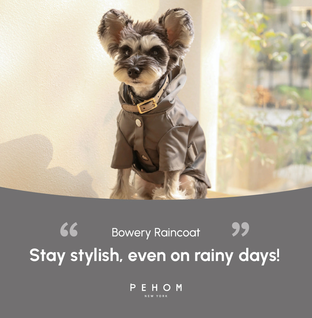 Bowery Raincoat-Gray
