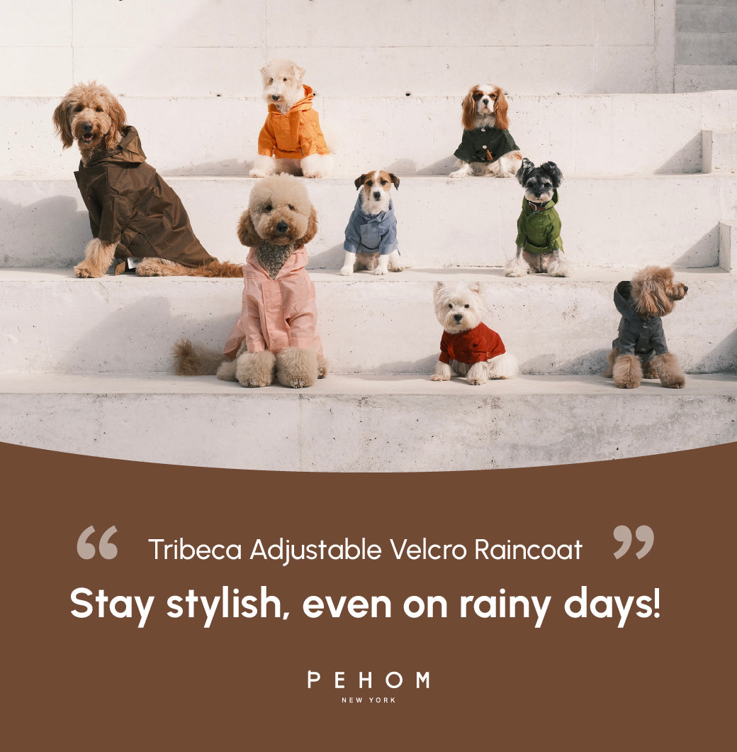 Tribeca Adjustable Velcro Raincoat-Choco