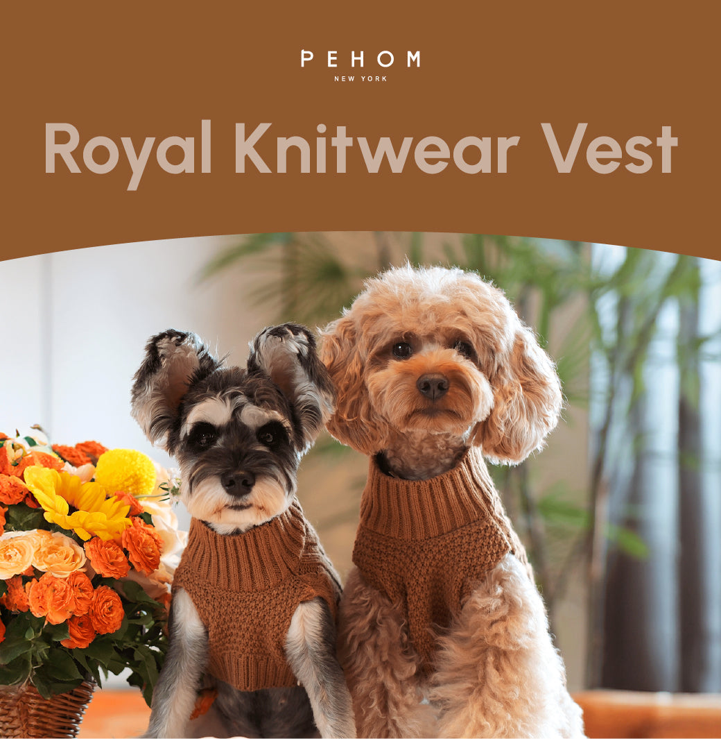 Pet Sweater Vest-Toffee Orange