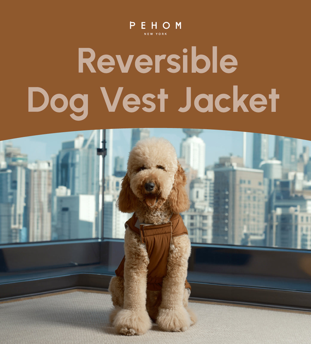 Reversible Dog Vest Jacket-Orange Grey