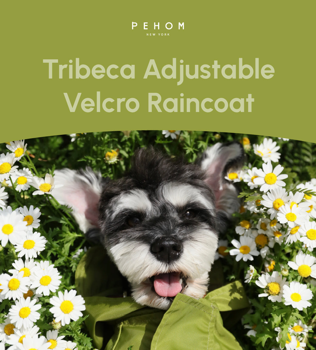 Tribeca Adjustable Velcro Raincoat-Olive