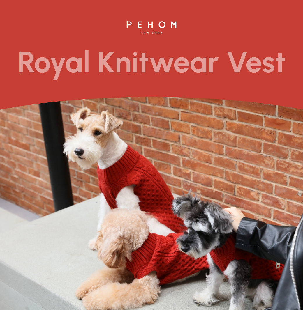 Pet Sweater Vest-Red