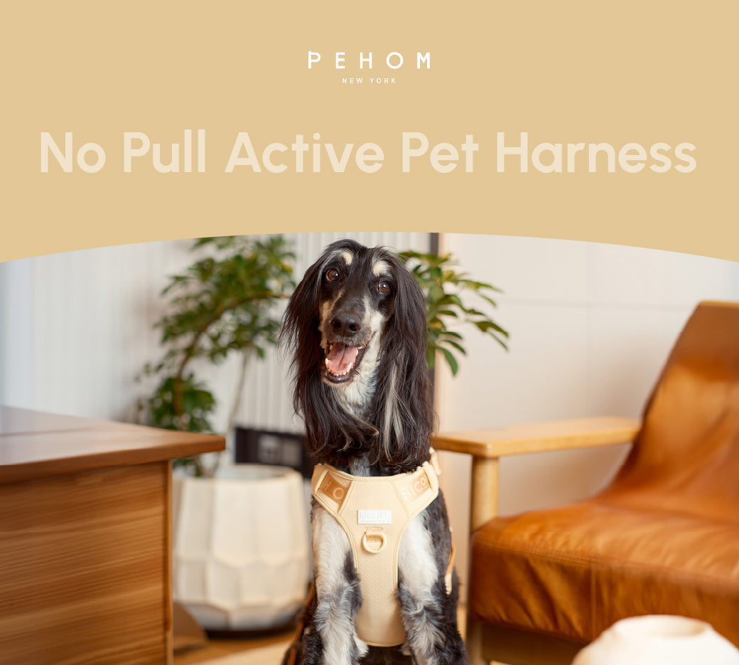 No Pull Active Pet Harness-Apricot