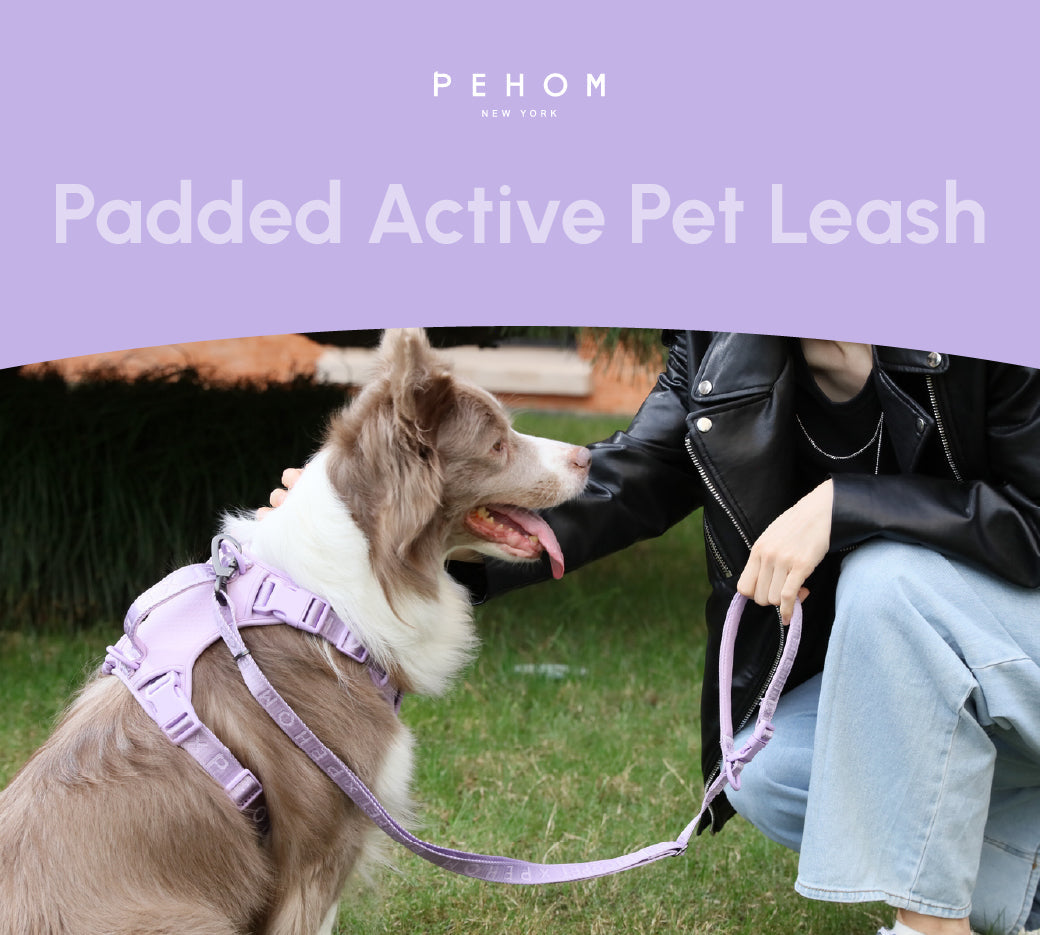 Padded Active Pet Leash-Mint Purple