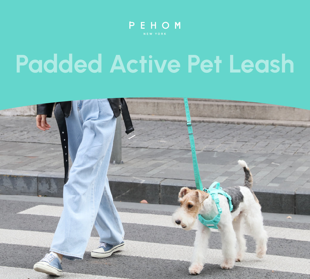 Padded Active Pet Leash-Mint Green