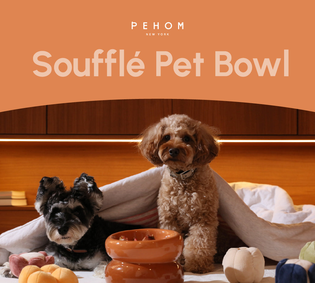 Souffle Pet Bowl-Amber Orange