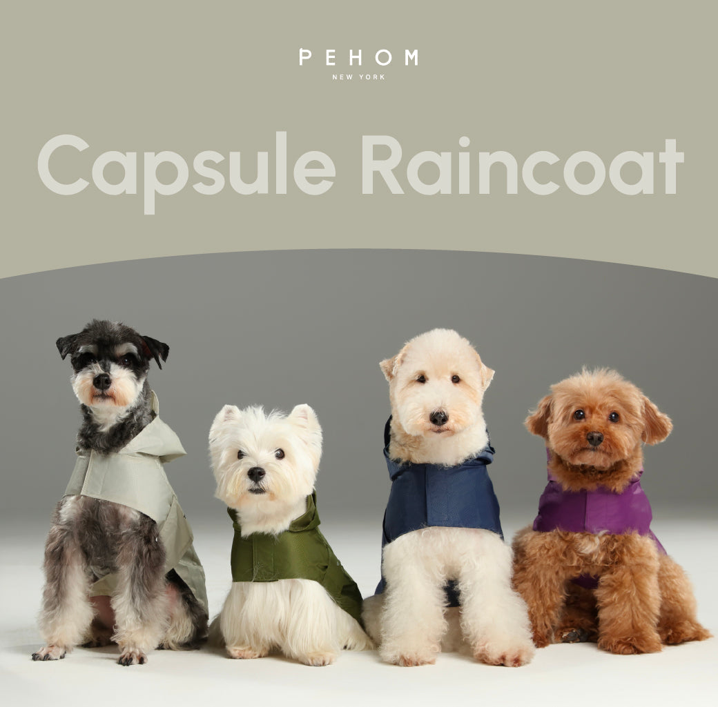 Capsule Raincoat-Blue