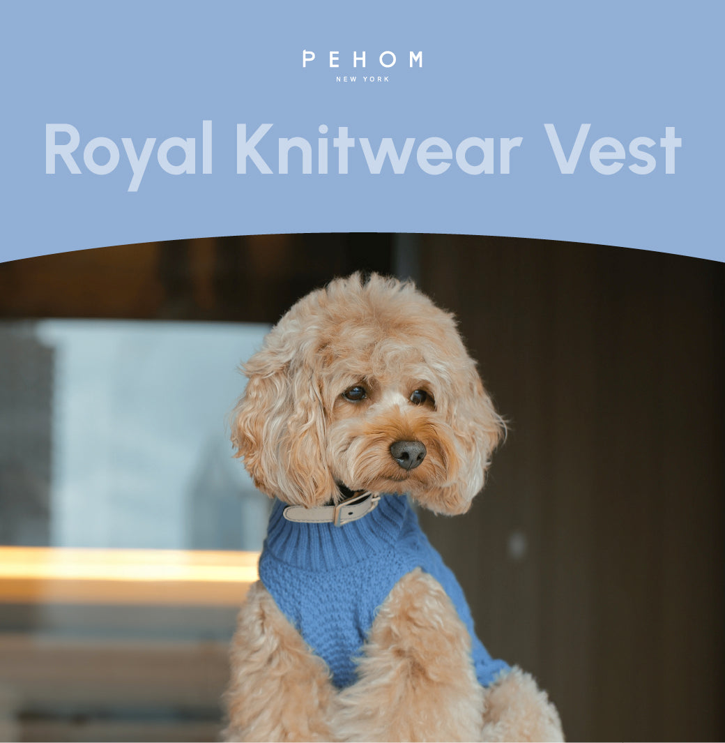 Pet Sweater Vest-Ice Blue