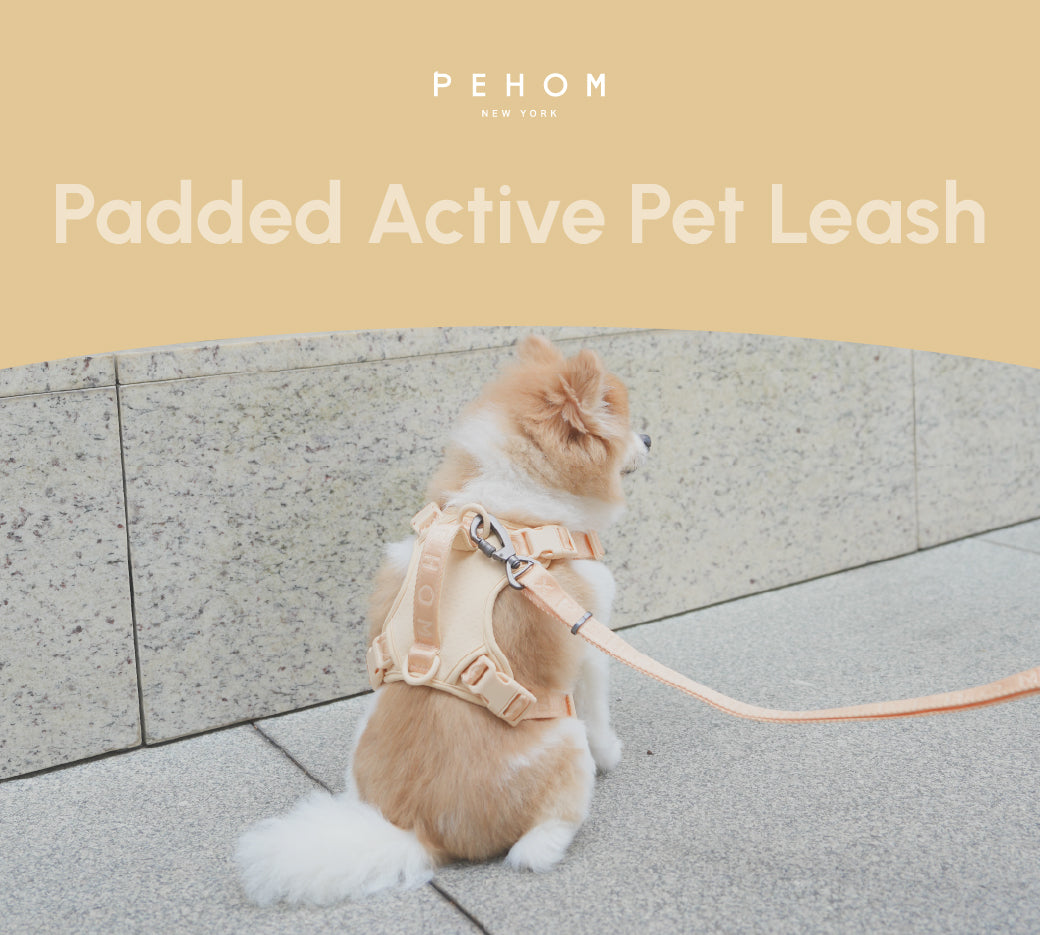Padded Active Pet Leash-Apricot