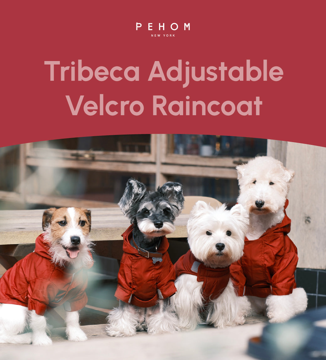 Tribeca Adjustable Velcro Raincoat-Burgundy