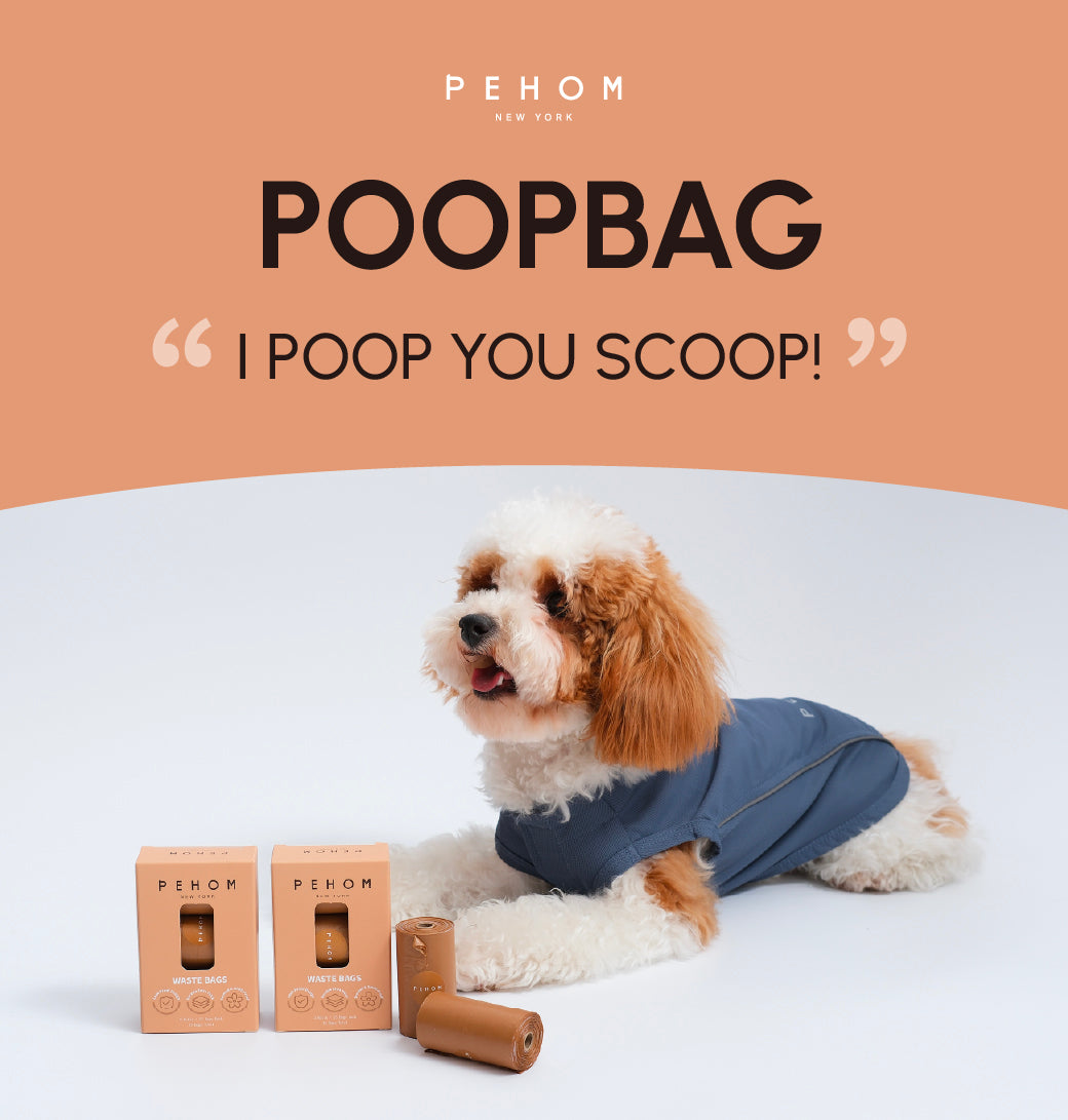 Poop Dispenser and Bags