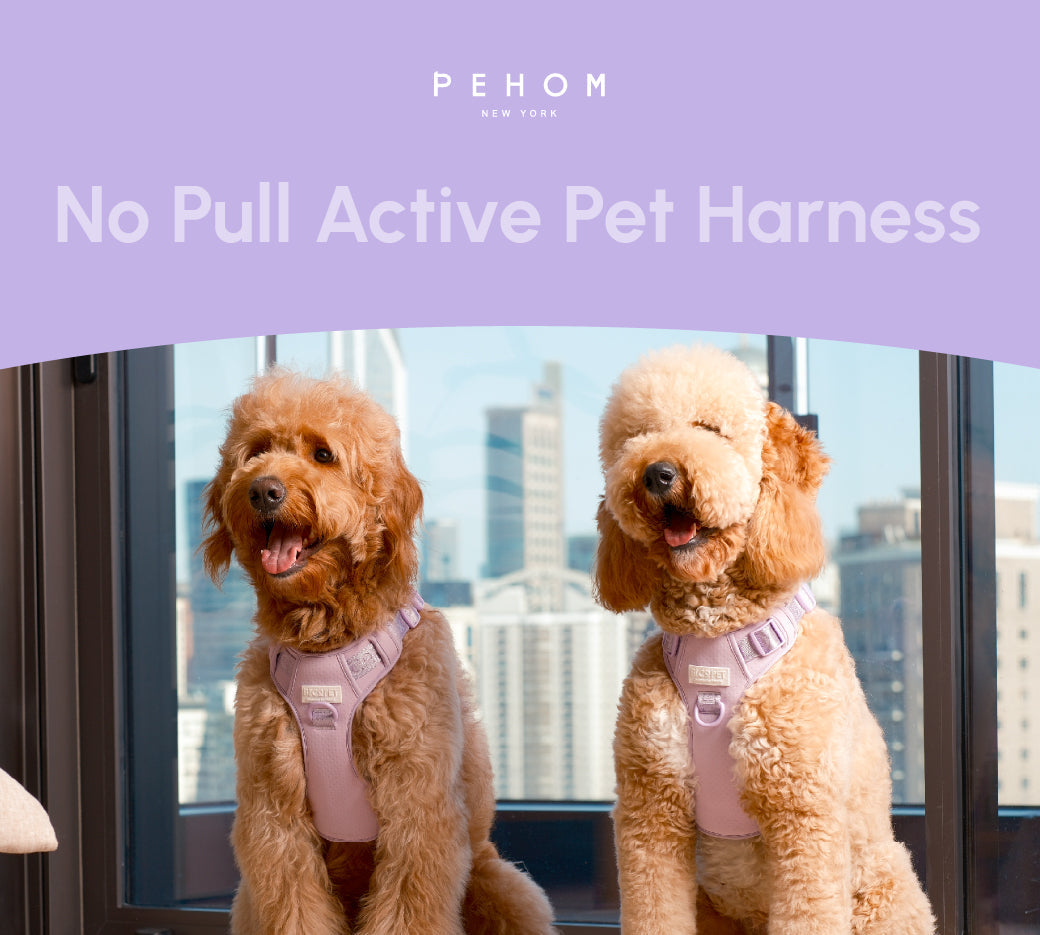 No Pull Active Pet Harness-Mint Purple