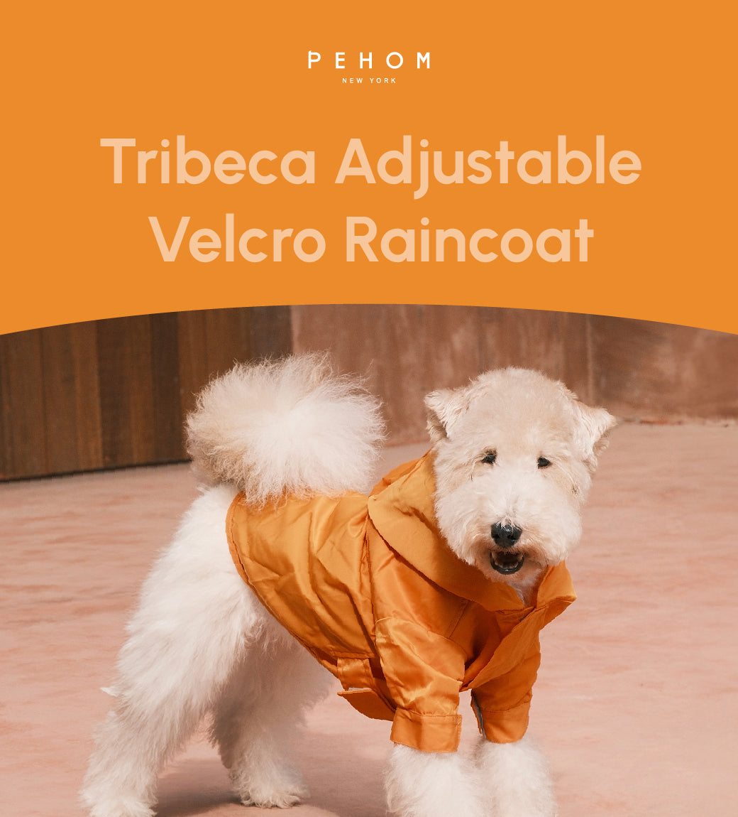Tribeca Adjustable Velcro Raincoat-Egg Yolk