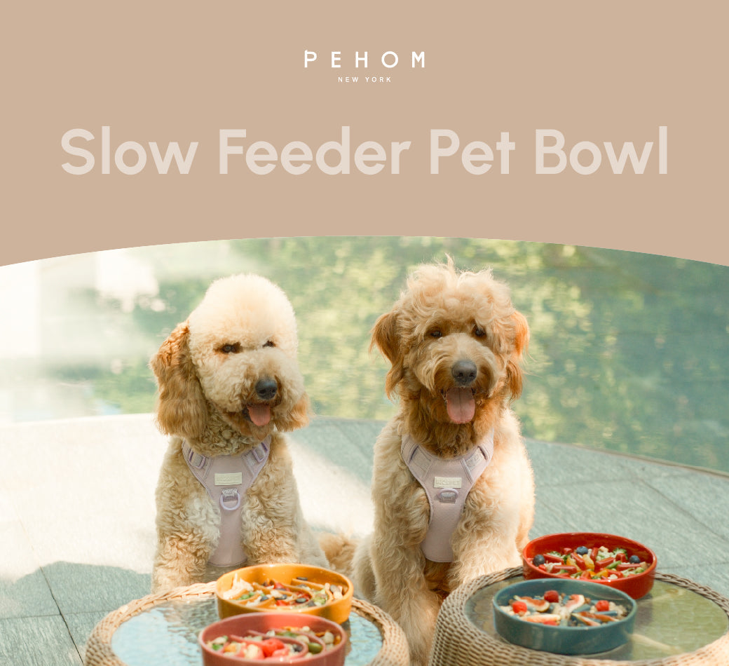 [Wave] Slow Feeder Dog Bowls - Pink / Beige / Orange