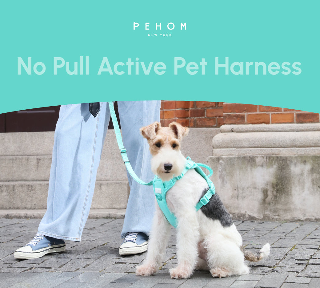 No Pull Active Pet Harness-Mint Green