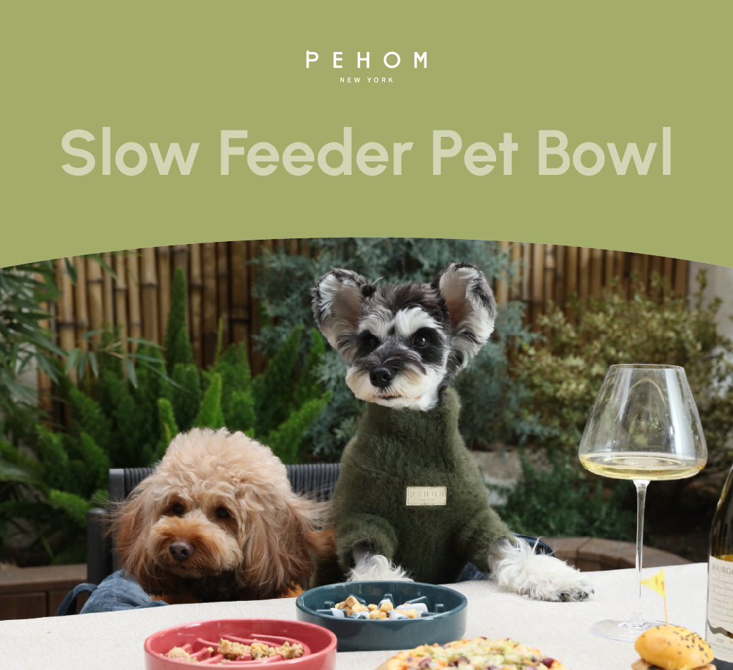 [Spark] Slow Feeder Dog Bowls - Red / Green / Blue