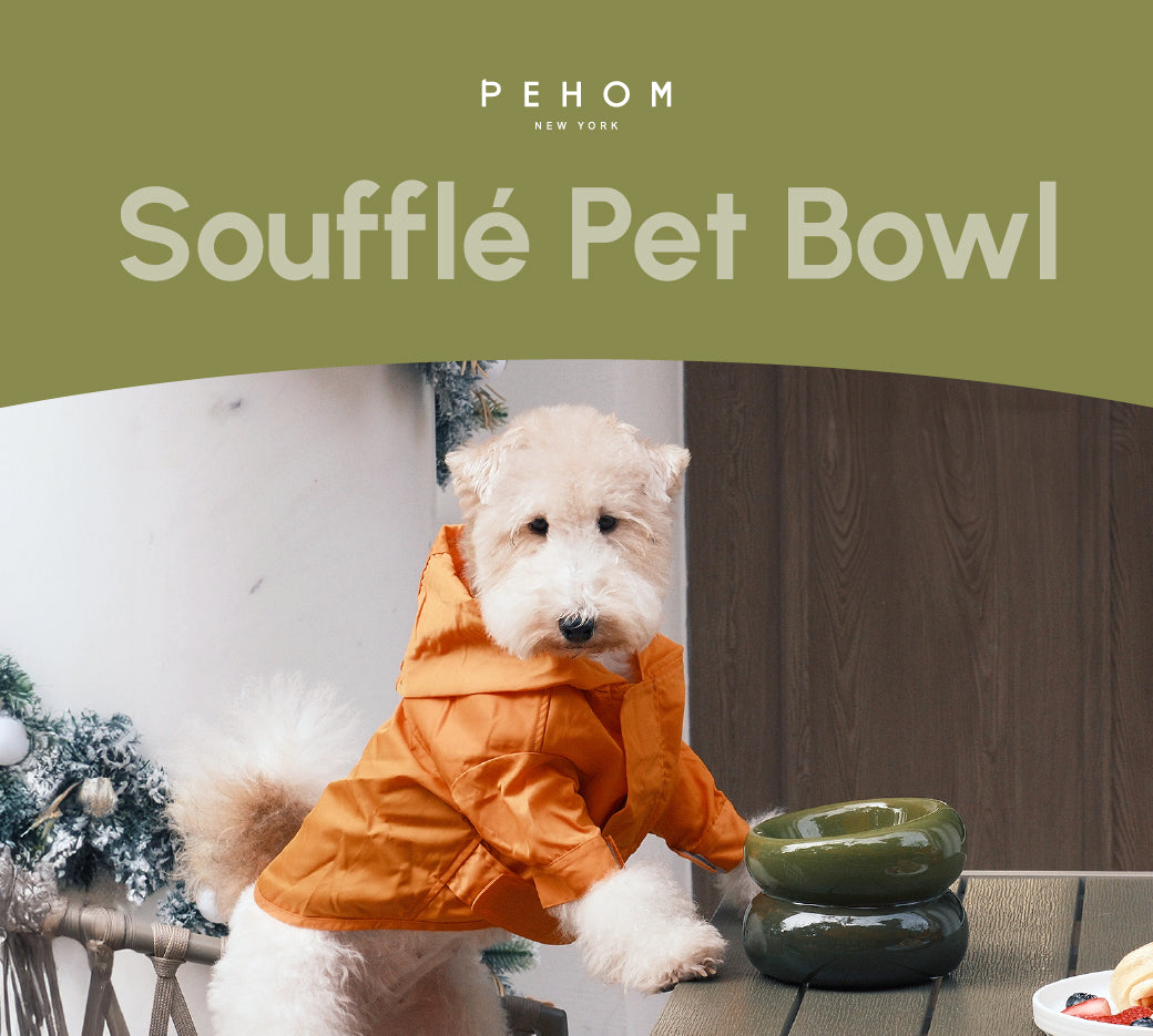 Souffle Pet Bowl-Avocado Green