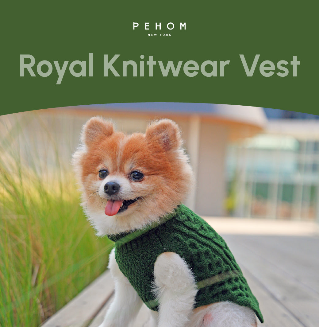 Pet Sweater Vest-Green