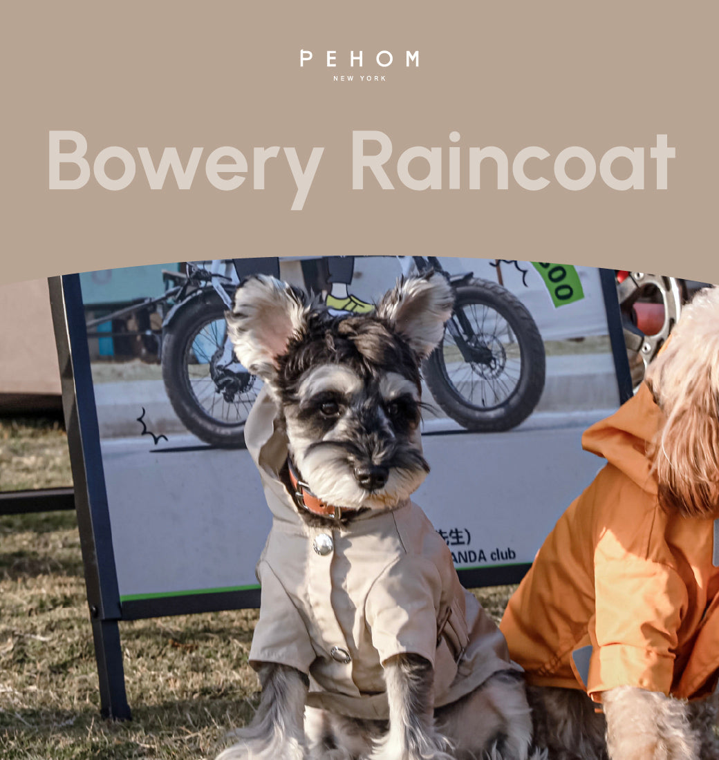 Bowery Raincoat-Beige