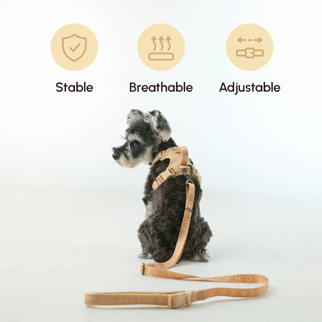 Padded Active Pet Leash-Apricot